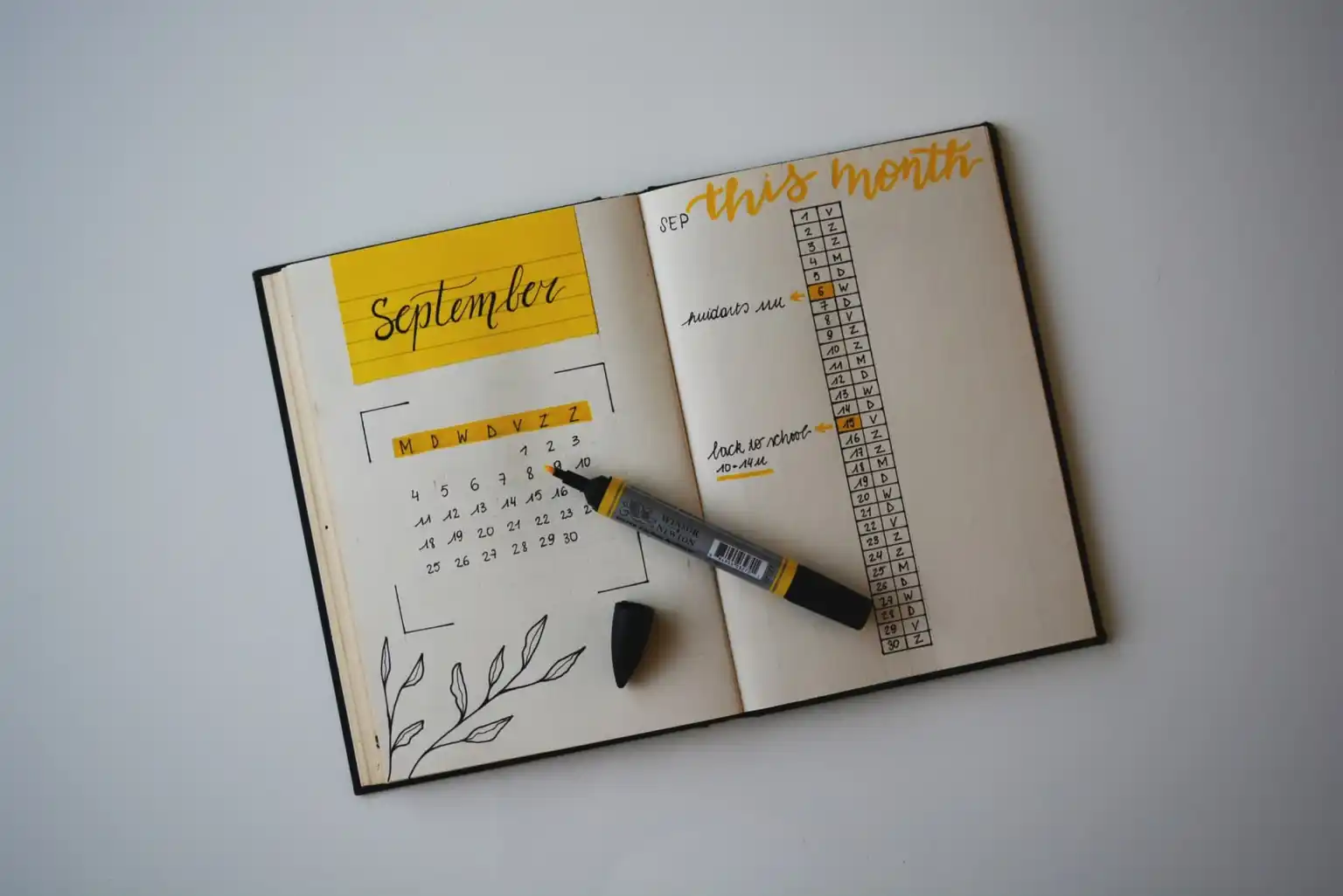 Optimal Daily Schedule
